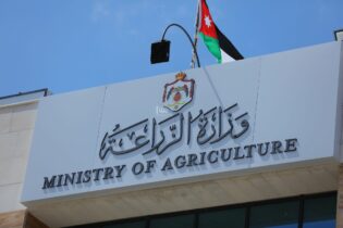 Photo of “الزراعة” تطلق المنصة التسويقية لتعزيز الصادرات