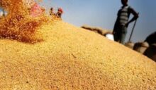 Photo of الهند: إنتاجنا من القمح يكفي للاستهلاك المحلي فقط