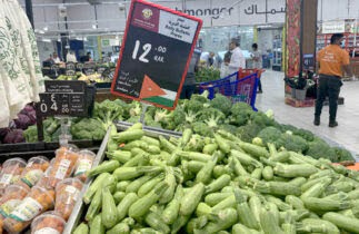Photo of قطر: ازدياد الطلب على البيض والخضار الأردنية