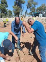 Photo of يوم تطوعي لزراعة الأشجار في مدينة الحسين للشباب